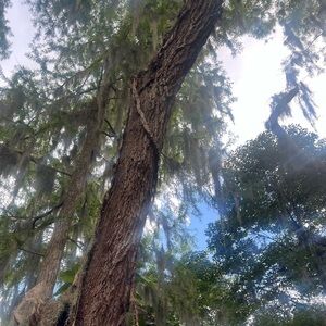 Meet your Posher, MS